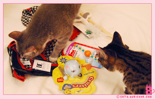 xmas_presents_noa_ash_6.jpg