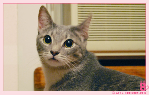 ash_eyes_01.jpg