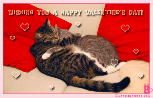 happy_valentines_noa_ash.jpg