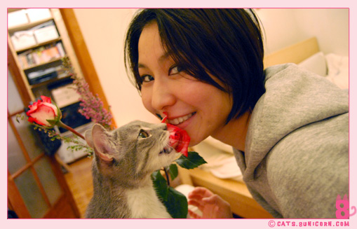 noa_ash_maman_papan_love_012.jpg