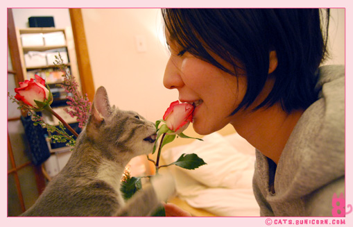 noa_ash_maman_papan_love_013.jpg