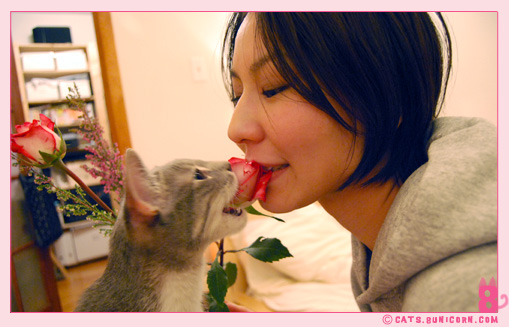 noa_ash_maman_papan_love_014.jpg