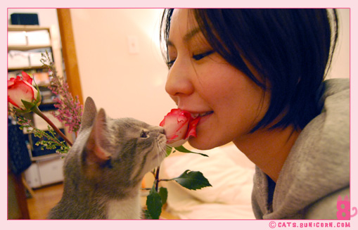 noa_ash_maman_papan_love_015.jpg
