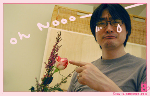 noa_ash_maman_papan_love_02.jpg