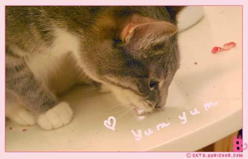 noa_ash_maman_papan_love_03.jpg