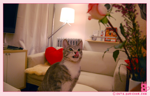 noa_ash_maman_papan_love_05.jpg
