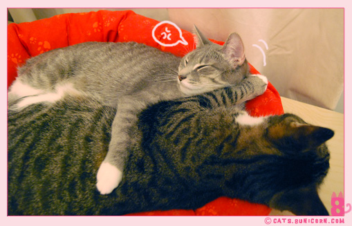 noa_ash_sleep_punch_3.jpg