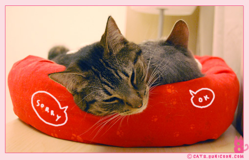 noa_ash_sleep_punch_4.jpg