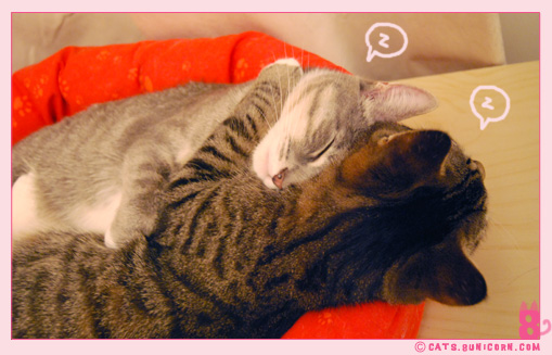 noa_ash_sleep_punch_5.jpg