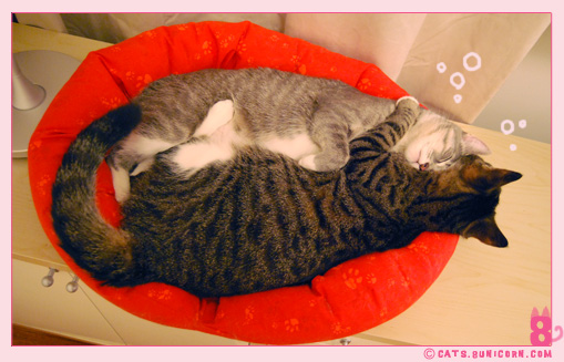 noa_ash_sleep_punch_6.jpg