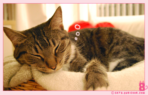 noa_cute_sleeps_02.jpg