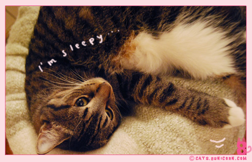 noa_cute_sleeps_03.jpg