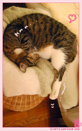 noa_cute_sleeps_05.jpg