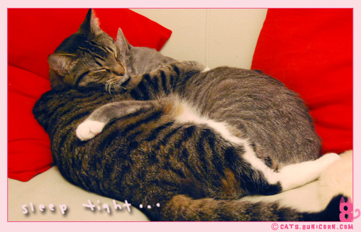 love_sleep_tight.jpg
