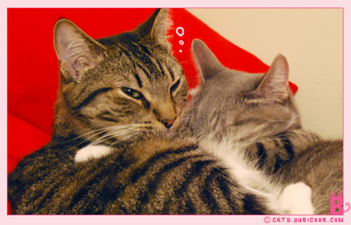 love_sleep_tight_01.jpg