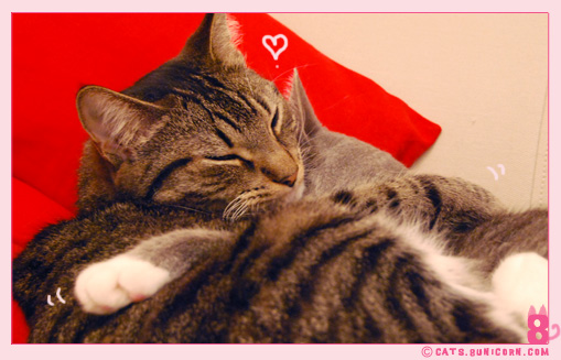 love_sleep_tight_02.jpg