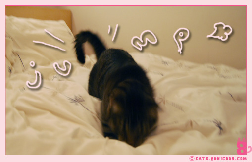 noa-ash_playing_with_mouse_toy_4.jpg