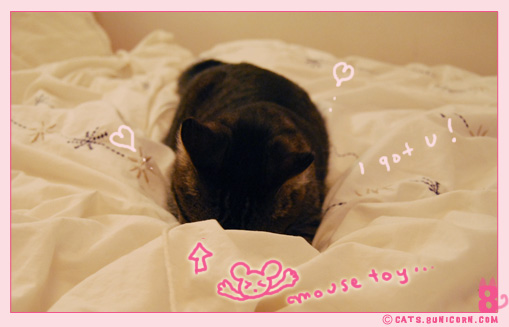 noa-ash_playing_with_mouse_toy_5.jpg
