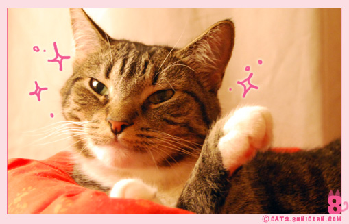 noa_grooming_05.jpg