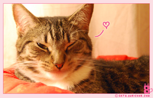 noa_grooming_06.jpg