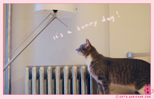sunny_day_sunday_1.jpg