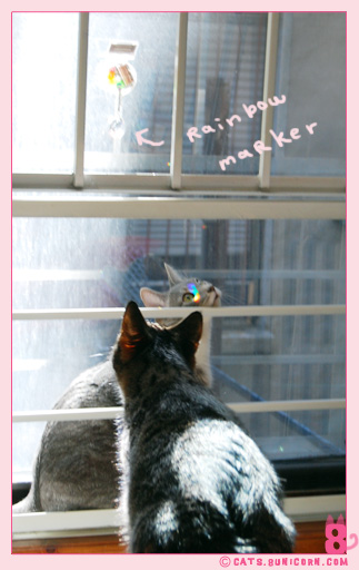 sunny_day_sunday_10.jpg