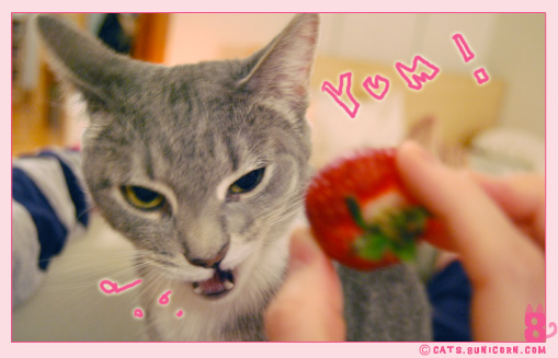ash_strawberry_01.jpg