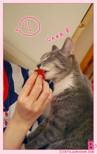 ash_strawberry_01001.jpg