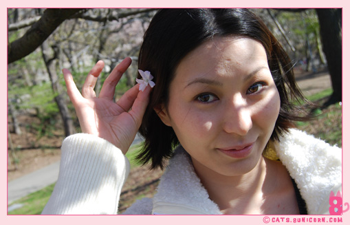 sakura_in_nyc_10.jpg