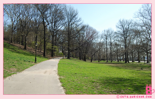 sakura_in_nyc_3.jpg