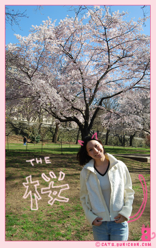 sakura_in_nyc_sakura.jpg