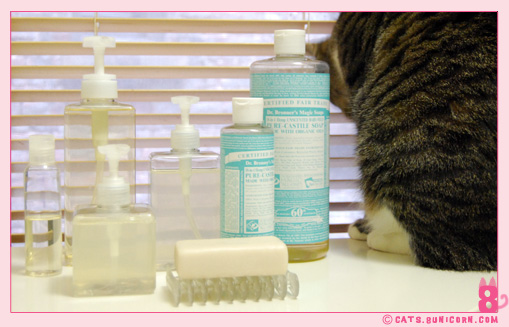 soap_noa_ash_0100.jpg