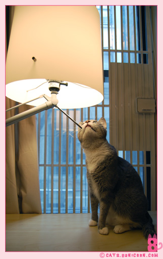 ash_with_paper_lamp_02.jpg