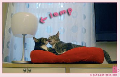 good_bye_lamp_01.jpg