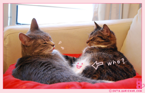 noa_ash_grooming_strange_far_101.jpg