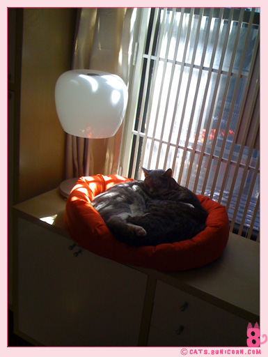 ash_noa_iphone_0011.jpg
