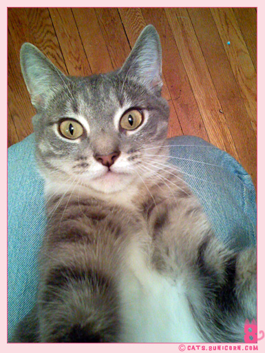 ash_noa_iphone_003.jpg