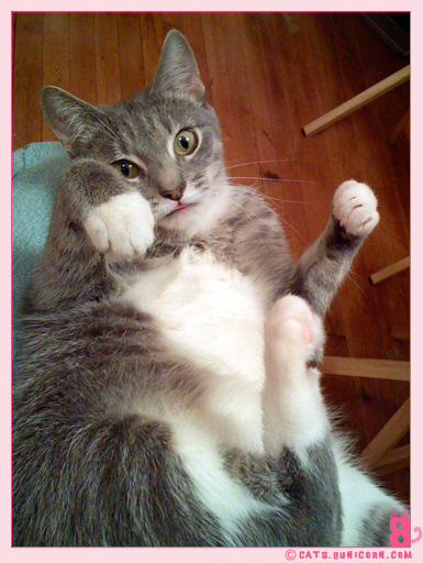 ash_noa_iphone_004.jpg