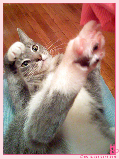 ash_noa_iphone_005.jpg