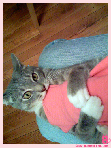 ash_noa_iphone_008.jpg