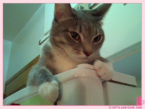 ash_noa_iphone_0100.jpg