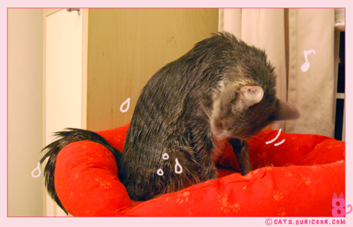noa_ash_after_shower0.jpg