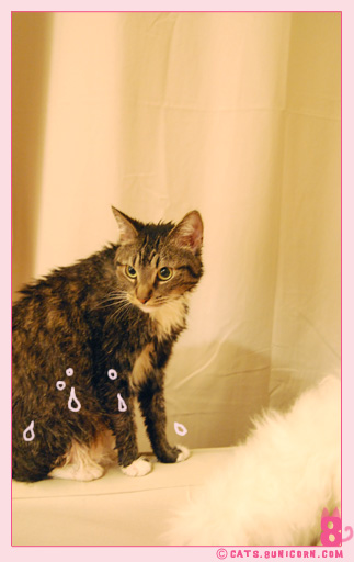 noa_ash_after_shower_1.jpg