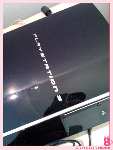 photos_from_iphone_noa_ash_003.jpg