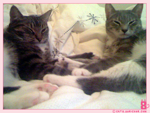 photos_from_iphone_noa_ash_02.jpg