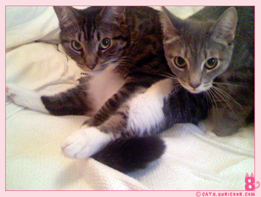 photos_from_iphone_noa_ash_03.jpg