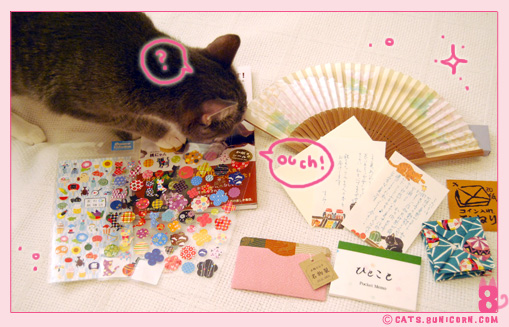 gift_from_sumiko_san_noa-ash_01.jpg