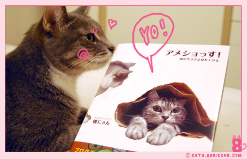 gift_from_sumiko_san_noa-ash_02.jpg