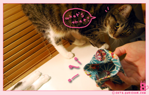 gift_from_sumiko_san_noa-ash_05.jpg