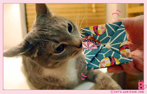 gift_from_sumiko_san_noa-ash_07.jpg